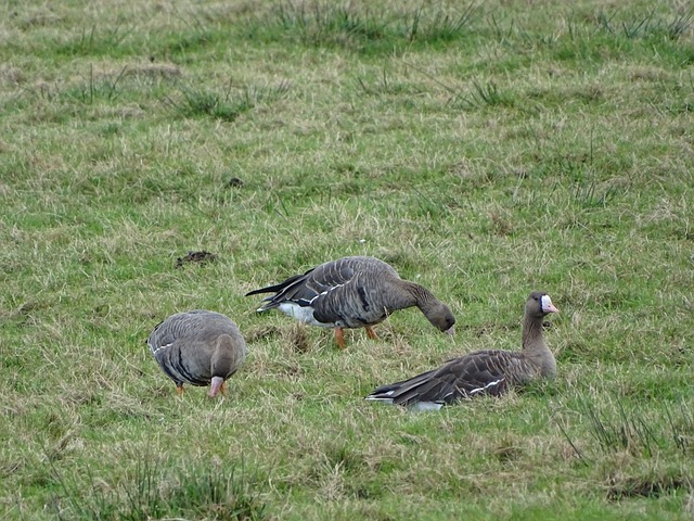 轮的较量 轮的较量
