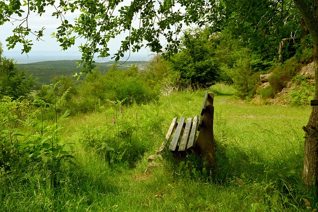 承受能力 承受能力