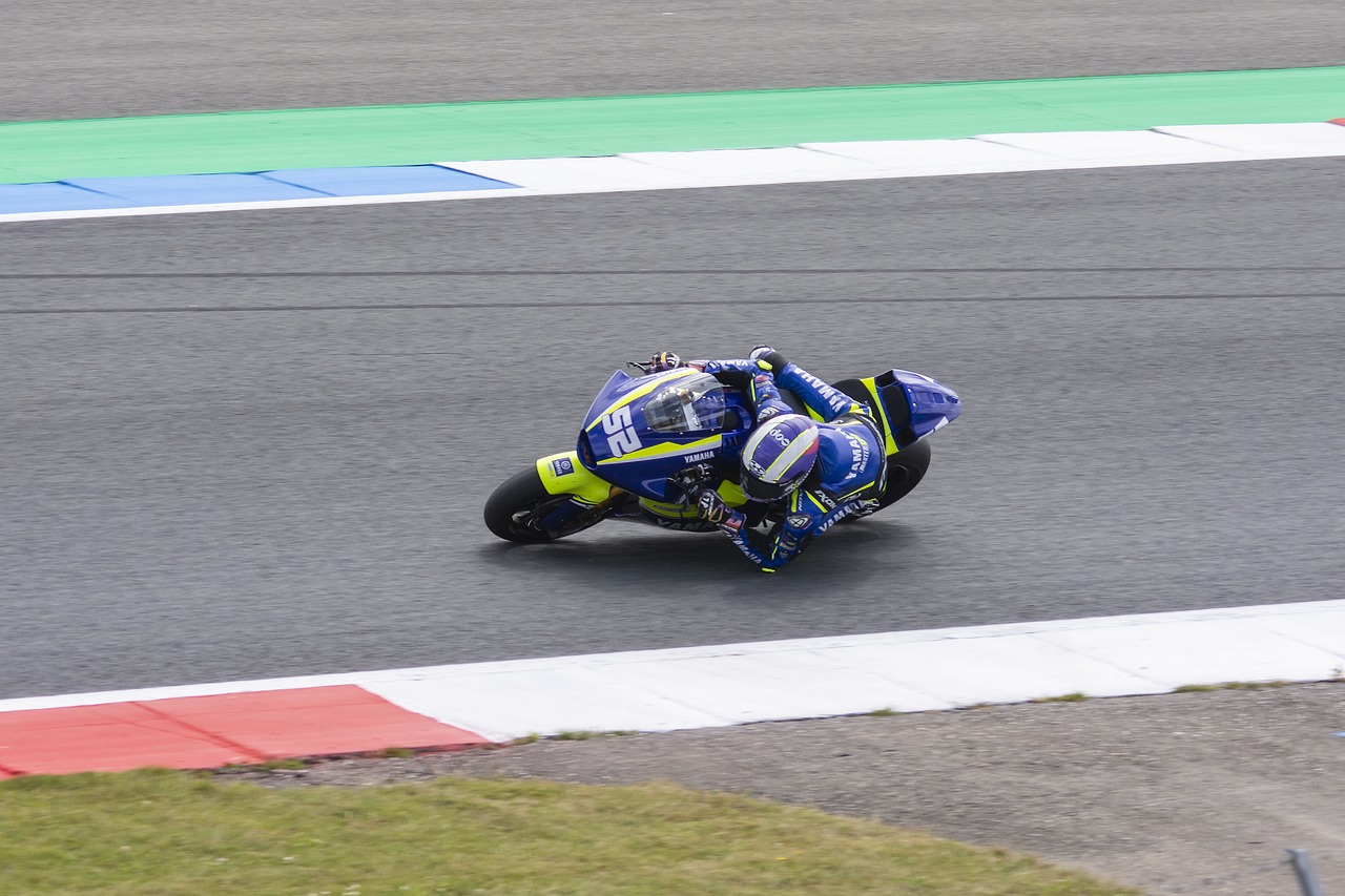 职业生涯的 职业生涯的