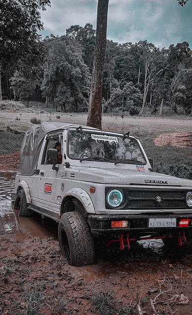 深刻印象 深刻印象